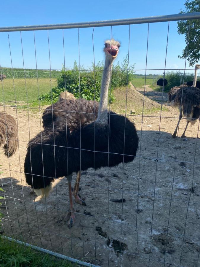 Luxus Fewo - Spannagl Lägenhet Pocking  Exteriör bild